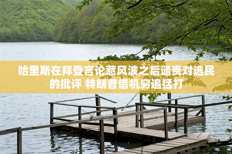 哈里斯在拜登言论惹风波之后谴责对选民的批评 特朗普借机穷追猛打