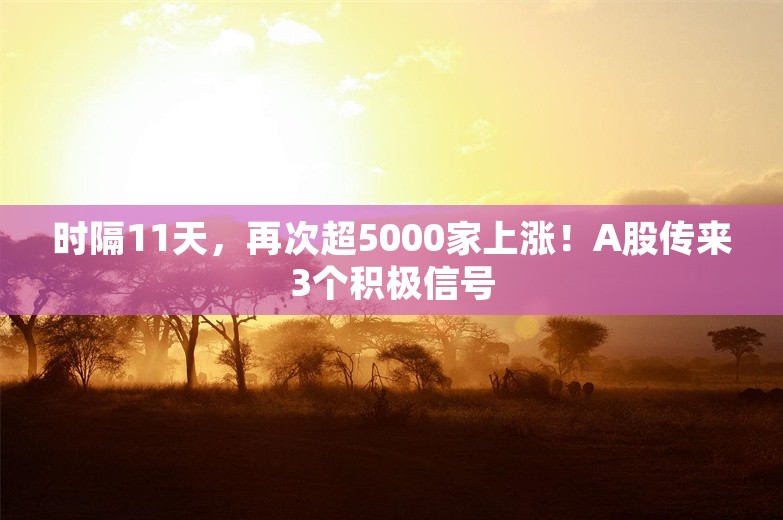 时隔11天，再次超5000家上涨！A股传来3个积极信号