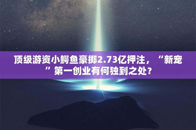 顶级游资小鳄鱼豪掷2.73亿押注，“新宠”第一创业有何独到之处？