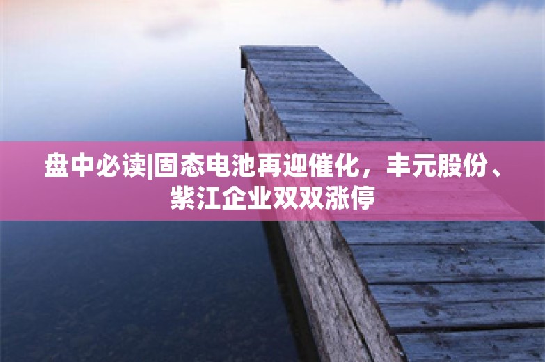 盘中必读|固态电池再迎催化，丰元股份、紫江企业双双涨停