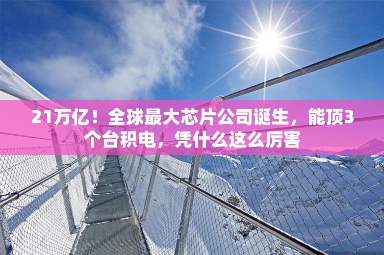 21万亿！全球最大芯片公司诞生，能顶3个台积电，凭什么这么厉害