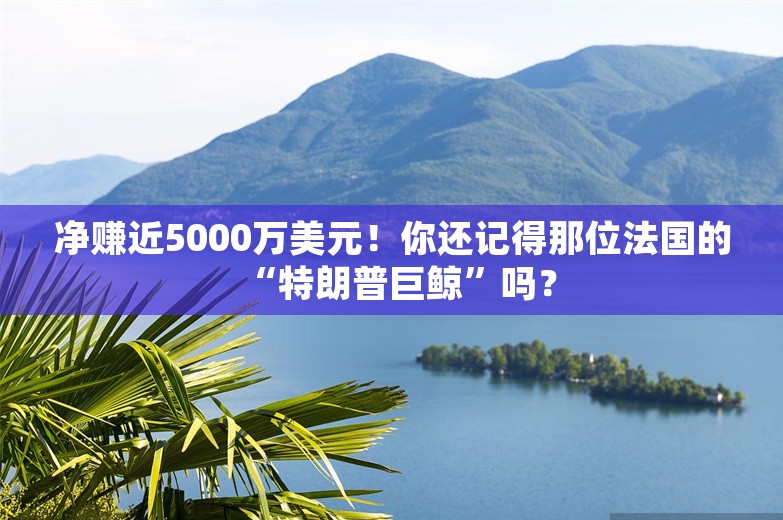 净赚近5000万美元！你还记得那位法国的“特朗普巨鲸”吗？