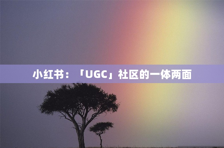 小红书：「UGC」社区的一体两面