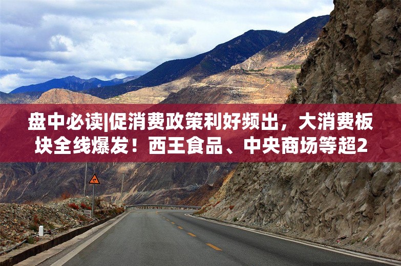 盘中必读|促消费政策利好频出，大消费板块全线爆发！西王食品、中央商场等超20股涨停