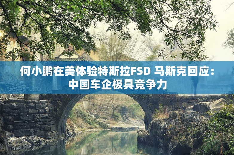 何小鹏在美体验特斯拉FSD 马斯克回应：中国车企极具竞争力