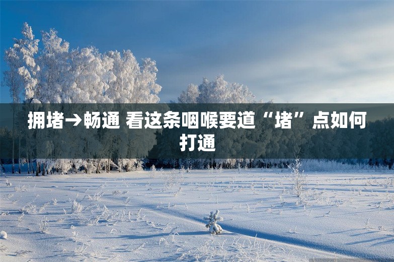 拥堵→畅通 看这条咽喉要道“堵”点如何打通