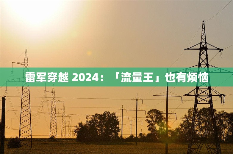 雷军穿越 2024：「流量王」也有烦恼