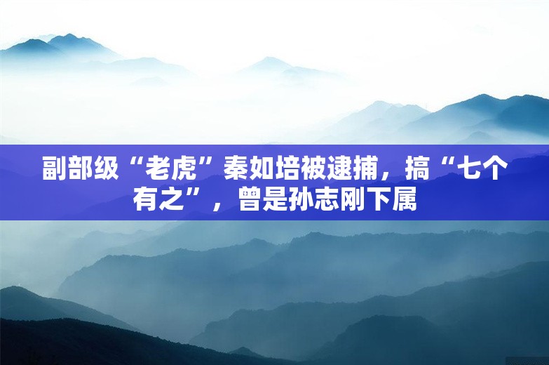 副部级“老虎”秦如培被逮捕，搞“七个有之”，曾是孙志刚下属