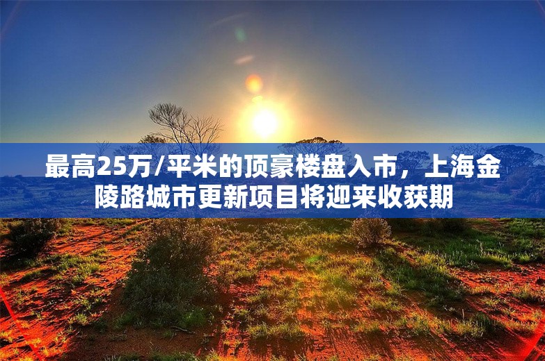 最高25万/平米的顶豪楼盘入市，上海金陵路城市更新项目将迎来收获期