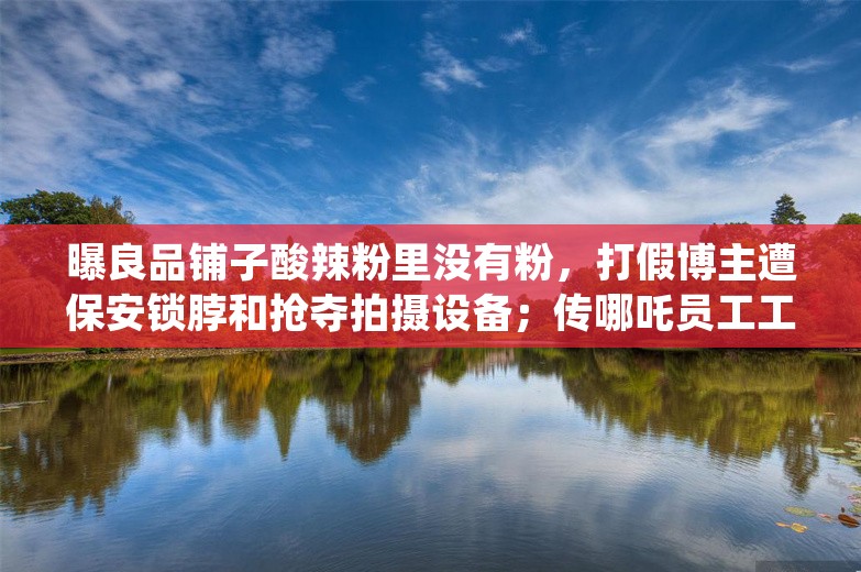 曝良品铺子酸辣粉里没有粉，打假博主遭保安锁脖和抢夺拍摄设备；传哪吒员工工资至今未补齐，大量新车延迟交付；台湾存储大厂一半员工被裁丨雷峰早报