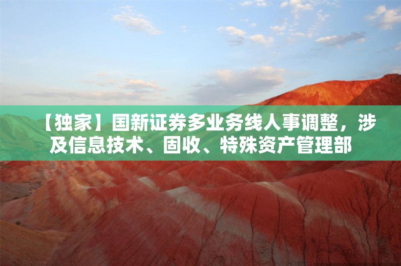 【独家】国新证券多业务线人事调整，涉及信息技术、固收、特殊资产管理部