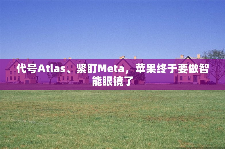 代号Atlas、紧盯Meta，苹果终于要做智能眼镜了