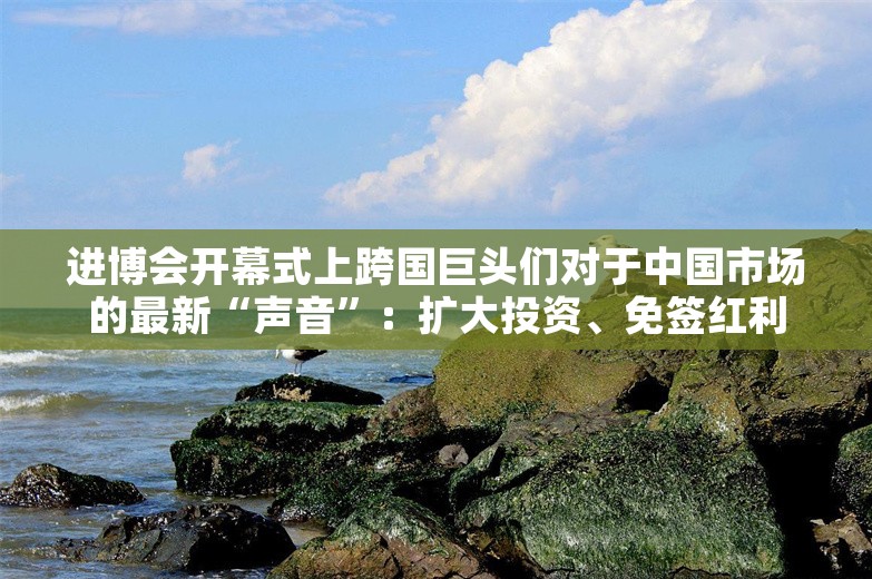 进博会开幕式上跨国巨头们对于中国市场的最新“声音”：扩大投资、免签红利