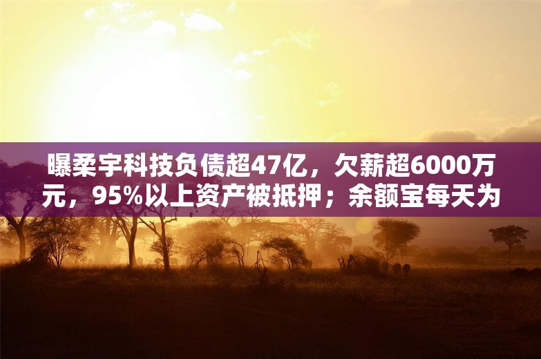 曝柔宇科技负债超47亿，欠薪超6000万元，95%以上资产被抵押；余额宝每天为用户赚1个亿；596颗高端CPU走私被香港海关查获丨雷峰早报