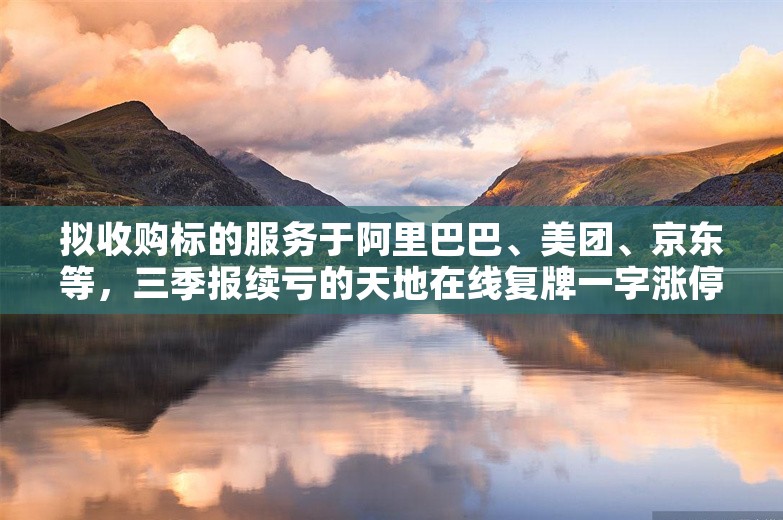 拟收购标的服务于阿里巴巴、美团、京东等，三季报续亏的天地在线复牌一字涨停