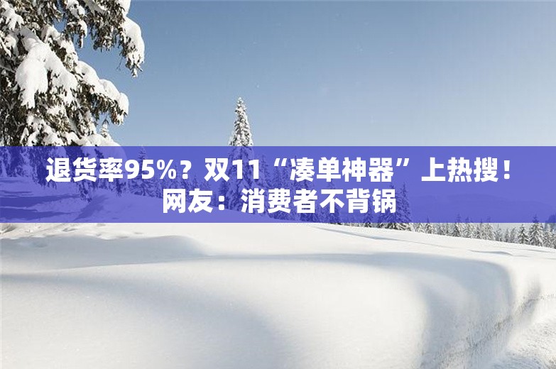 退货率95%？双11“凑单神器”上热搜！网友：消费者不背锅