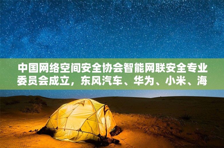 中国网络空间安全协会智能网联安全专业委员会成立，东风汽车、华为、小米、海尔等发起