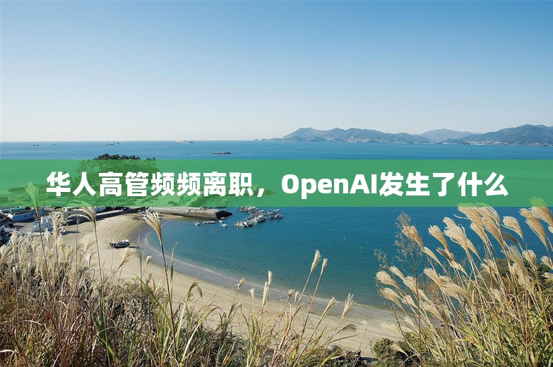 华人高管频频离职，OpenAI发生了什么