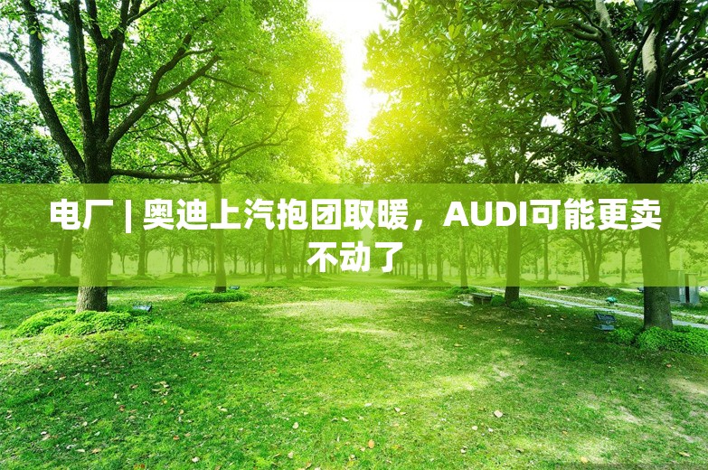 电厂 | 奥迪上汽抱团取暖，AUDI可能更卖不动了