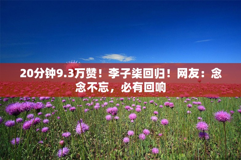 20分钟9.3万赞！李子柒回归！网友：念念不忘，必有回响