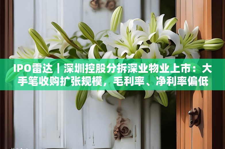 IPO雷达｜深圳控股分拆深业物业上市：大手笔收购扩张规模，毛利率、净利率偏低