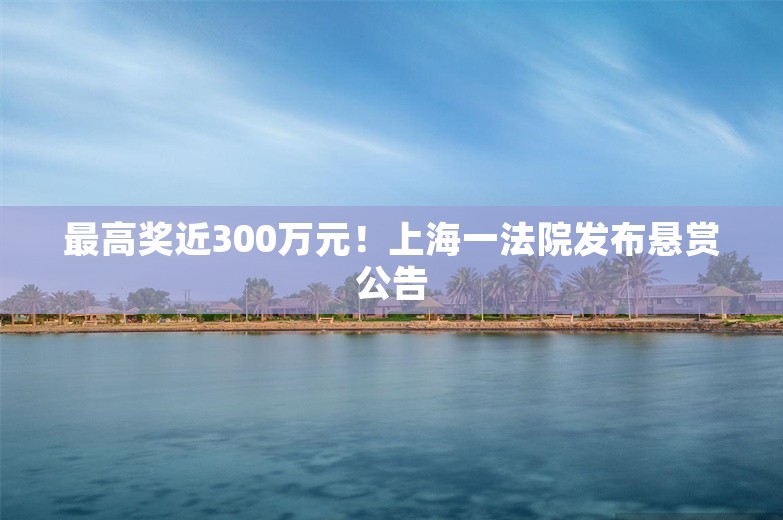 最高奖近300万元！上海一法院发布悬赏公告