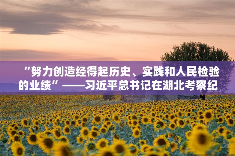 “努力创造经得起历史、实践和人民检验的业绩”——习近平总书记在湖北考察纪实‍‍