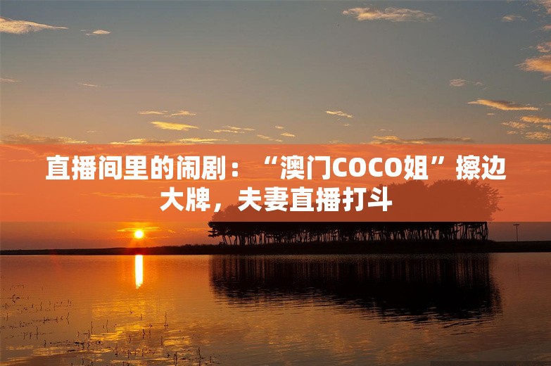 直播间里的闹剧：“澳门COCO姐”擦边大牌，夫妻直播打斗