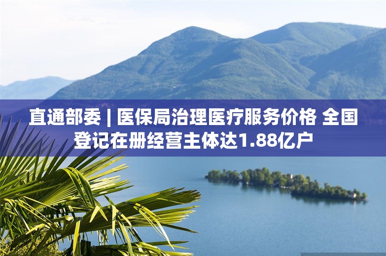 直通部委 | 医保局治理医疗服务价格 全国登记在册经营主体达1.88亿户