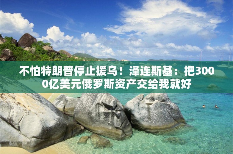 不怕特朗普停止援乌！泽连斯基：把3000亿美元俄罗斯资产交给我就好