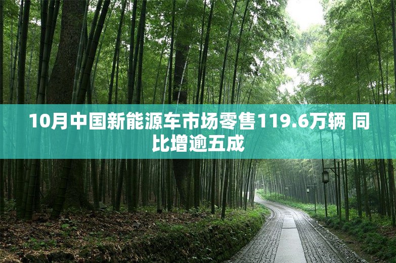 10月中国新能源车市场零售119.6万辆 同比增逾五成