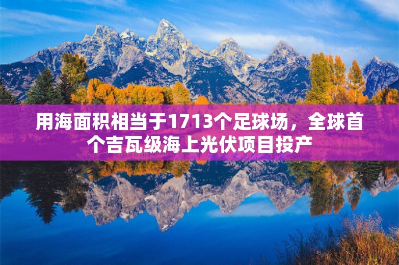 用海面积相当于1713个足球场，全球首个吉瓦级海上光伏项目投产