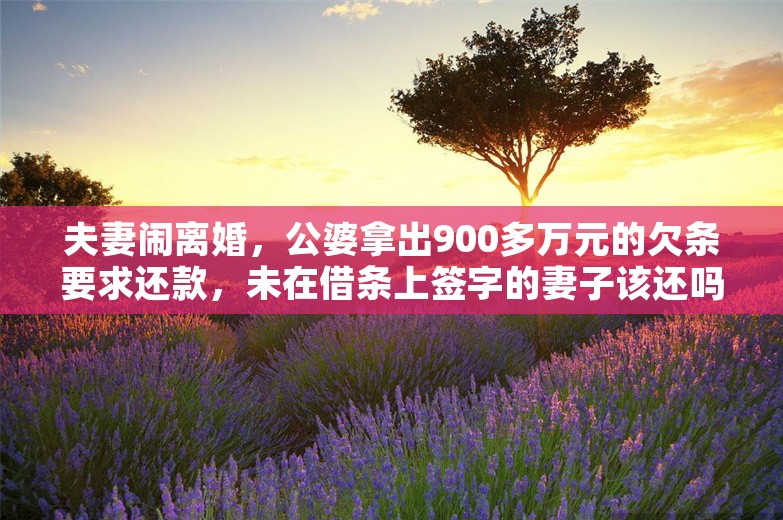 夫妻闹离婚，公婆拿出900多万元的欠条要求还款，未在借条上签字的妻子该还吗？