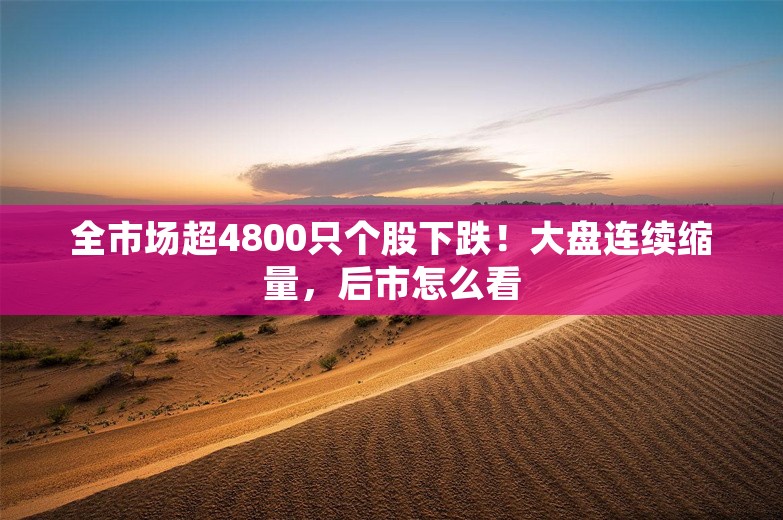 全市场超4800只个股下跌！大盘连续缩量，后市怎么看