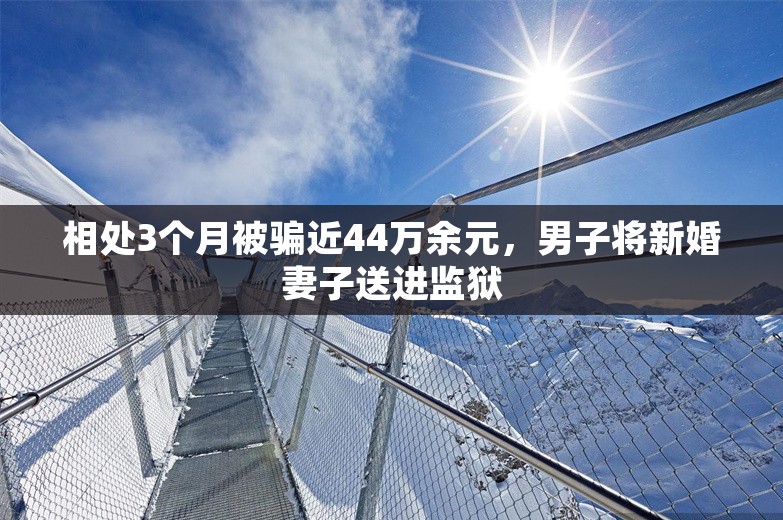 相处3个月被骗近44万余元，男子将新婚妻子送进监狱