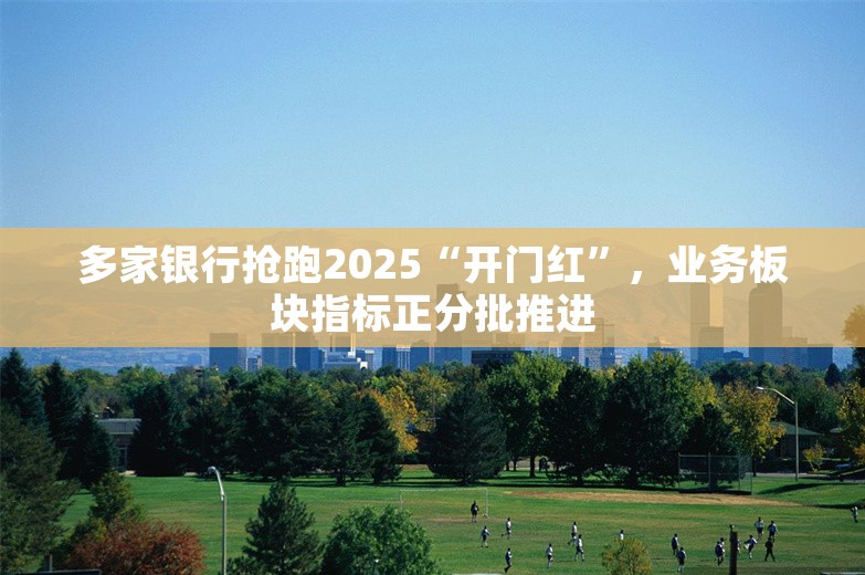 多家银行抢跑2025“开门红”，业务板块指标正分批推进