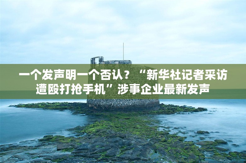 一个发声明一个否认？“新华社记者采访遭殴打抢手机”涉事企业最新发声