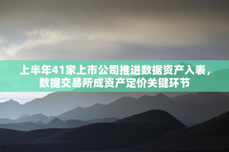 上半年41家上市公司推进数据资产入表，数据交易所成资产定价关键环节