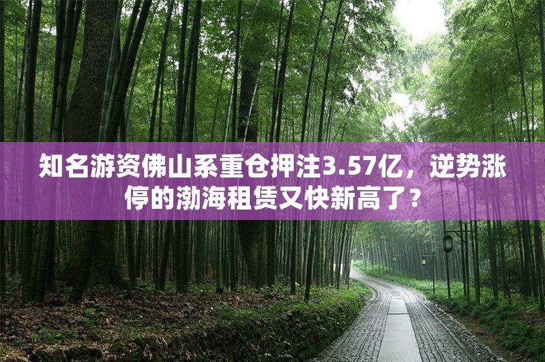 知名游资佛山系重仓押注3.57亿，逆势涨停的渤海租赁又快新高了？