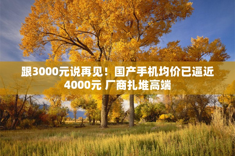 跟3000元说再见！国产手机均价已逼近4000元 厂商扎堆高端