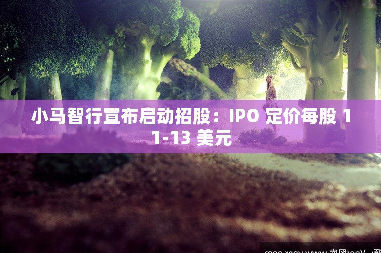 小马智行宣布启动招股：IPO 定价每股 11-13 美元