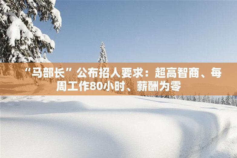 “马部长”公布招人要求：超高智商、每周工作80小时、薪酬为零