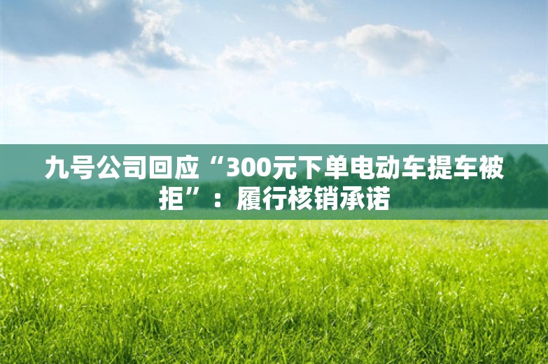 九号公司回应“300元下单电动车提车被拒”：履行核销承诺