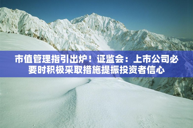 市值管理指引出炉！证监会：上市公司必要时积极采取措施提振投资者信心