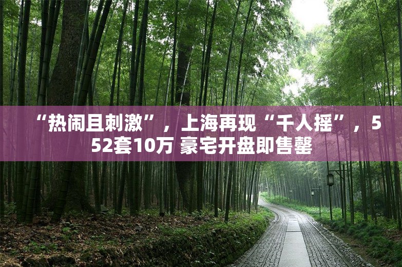 “热闹且刺激”，上海再现“千人摇”，552套10万 豪宅开盘即售罄