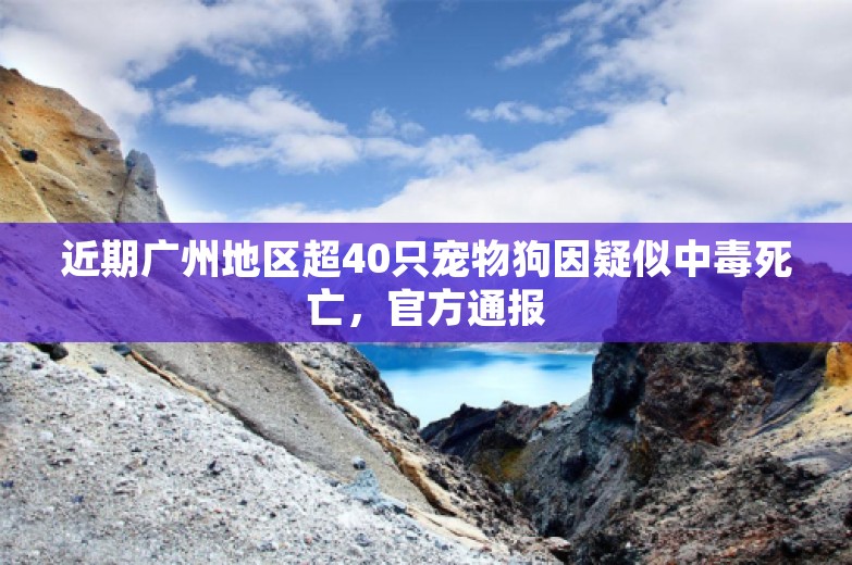 近期广州地区超40只宠物狗因疑似中毒死亡，官方通报