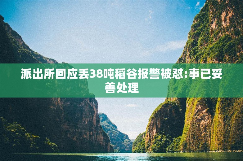 派出所回应丢38吨稻谷报警被怼:事已妥善处理