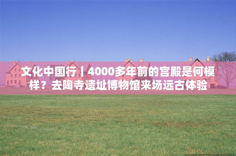 文化中国行丨4000多年前的宫殿是何模样？去陶寺遗址博物馆来场远古体验