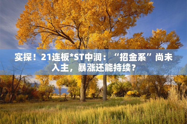 实探！21连板*ST中润：“招金系”尚未入主，暴涨还能持续？