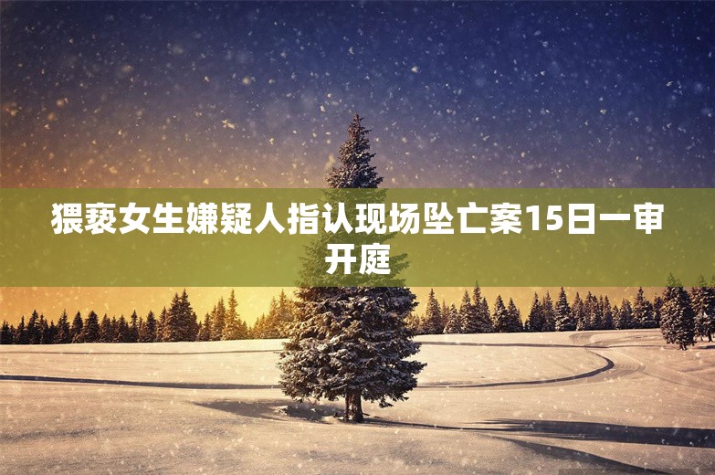 猥亵女生嫌疑人指认现场坠亡案15日一审开庭